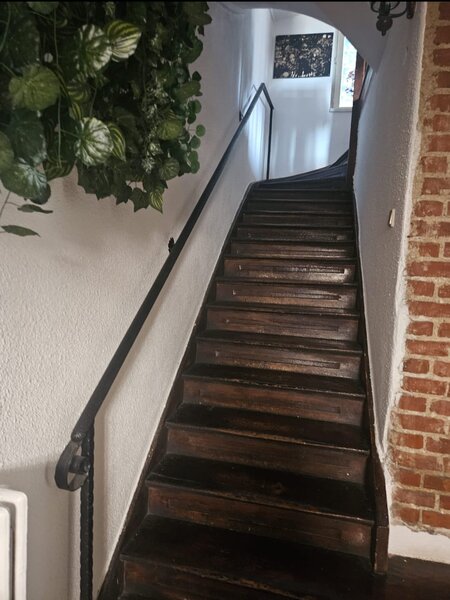 Decebal- Dristorului